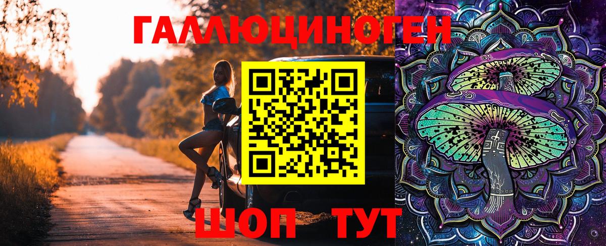 Галлюциногенные грибы Cubensis Ковров