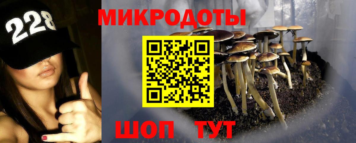 Ковров  Галлюциногенные грибы GOLDEN TEACHER  Вход с VPN 